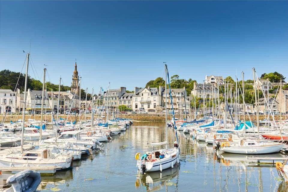 Le Nid Briochin Studio Au Coeur De Saint-Brieuc Buitenkant foto